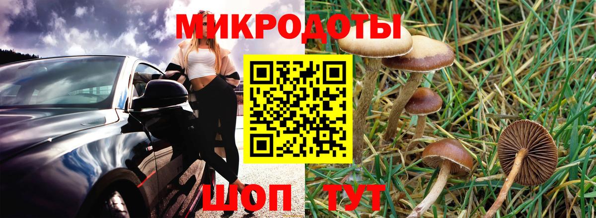 Галлюциногенные грибы мухоморы Шебекино